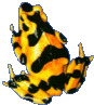 Grenouille.gif (5986 octets)